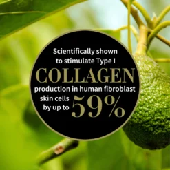 Αντίποδες Antipodes Rejoice Light Facial Day Cream 60ml -Cosmetic Products Store 10374564 5514991521300254