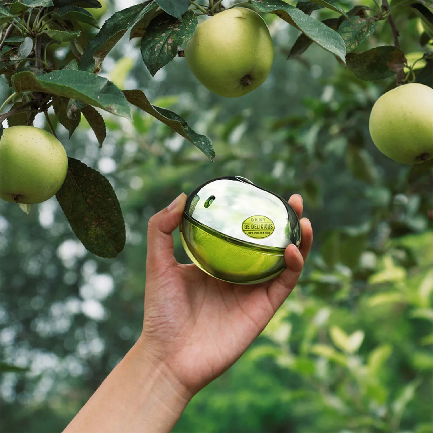 DKNY Be Delicious Eau De Parfum 50ml 3 DKNY Be Delicious Eau De Parfum 50ml - Image 2