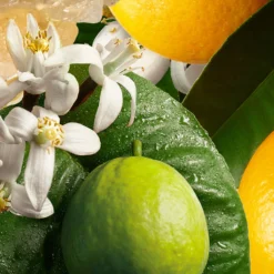 Molton Brown Orange & Bergamot Nourishing Body Lotion -Cosmetic Products Store 10883583 2854665171426009