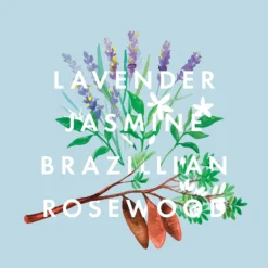 NEOM Real Luxury De-Stress Scented 3 Wick Candle 12 NEOM Real Luxury De-Stress Scented 3 Wick Candle -Cosmetic Products Store 10970346 4094824842617125