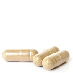 KIKI Health Body Biotics Tablets (120 Capsules) 9 KIKI Health Body Biotics Tablets (120 Capsules) -Cosmetic Products Store 11418541 8414557168475956