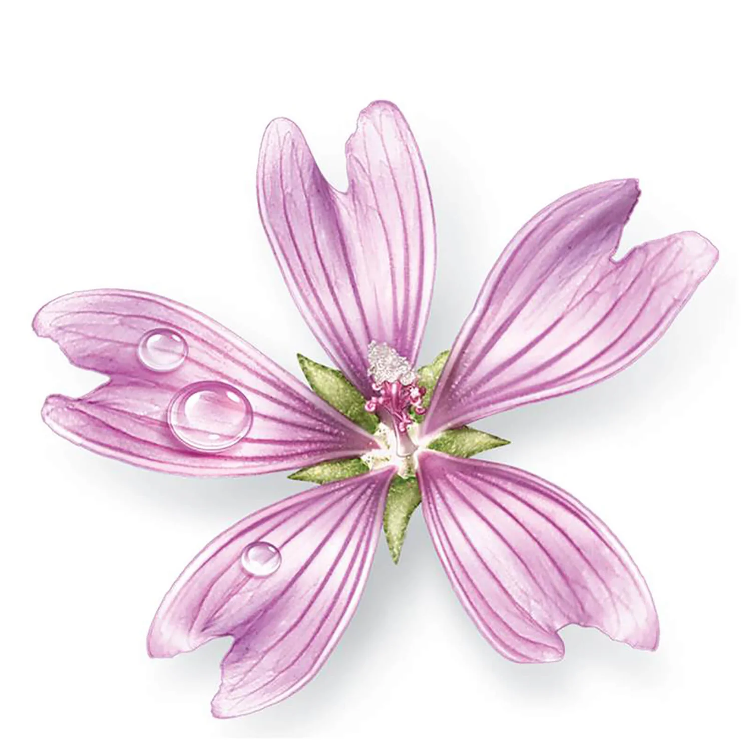 Mavala Aqua Plus Multi-Moisturising Sleeping Mask 75ml 7 Mavala Aqua Plus Multi-Moisturising Sleeping Mask 75ml - Image 5