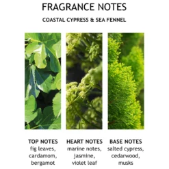Molton Brown Coastal Cypress And Sea Fennel Bath And Shower Gel 300ml -Cosmetic Products Store 11739213 2014619596391781