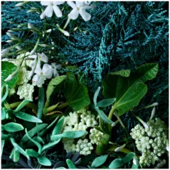 Molton Brown Coastal Cypress And Sea Fennel Bath And Shower Gel 300ml -Cosmetic Products Store 11739213 8064619596440849