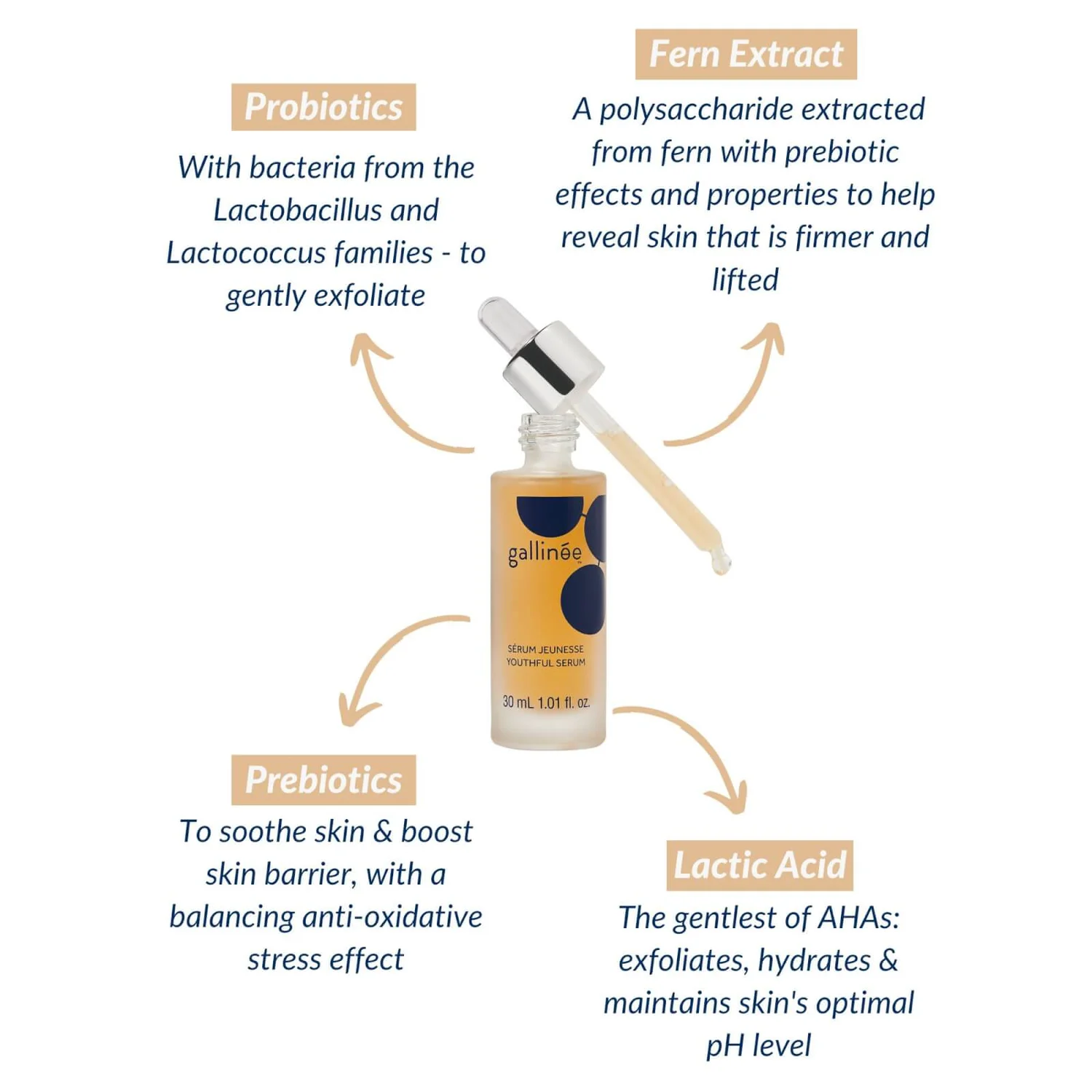 Gallinée Probiotic Youthful Serum 30ml 7 Gallinée Probiotic Youthful Serum 30ml - Image 5