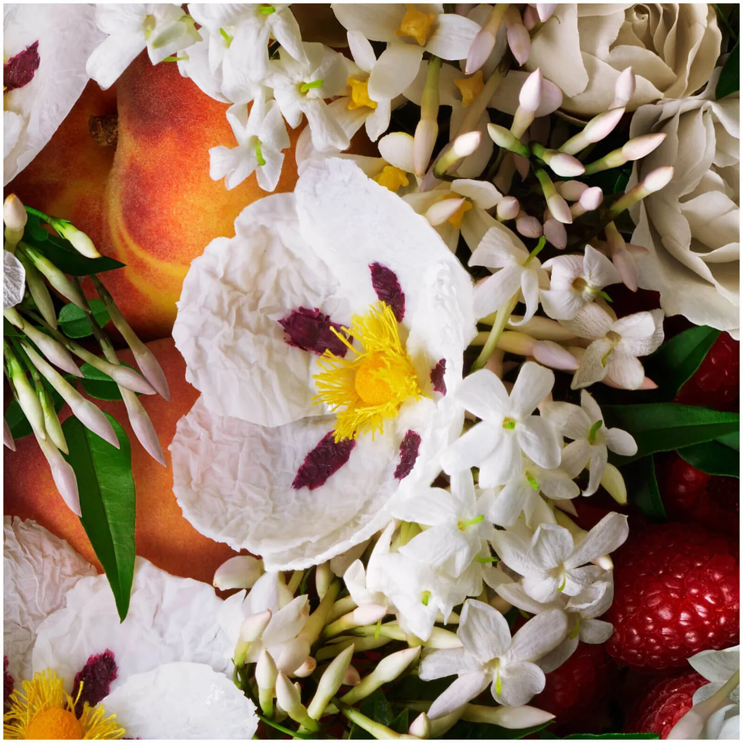 Molton Brown Jasmine & Sun Rose Body Lotion 6 Molton Brown Jasmine & Sun Rose Body Lotion - Image 4