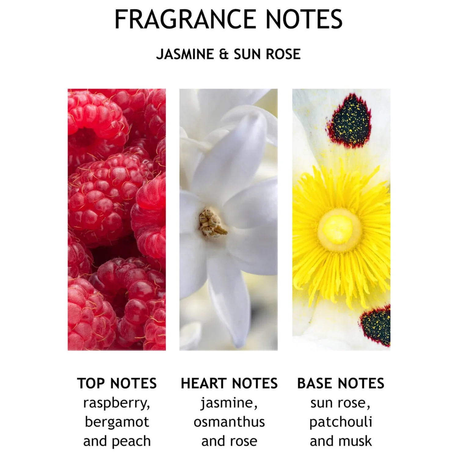 Molton Brown Jasmine & Sun Rose Body Lotion 7 Molton Brown Jasmine & Sun Rose Body Lotion - Image 5