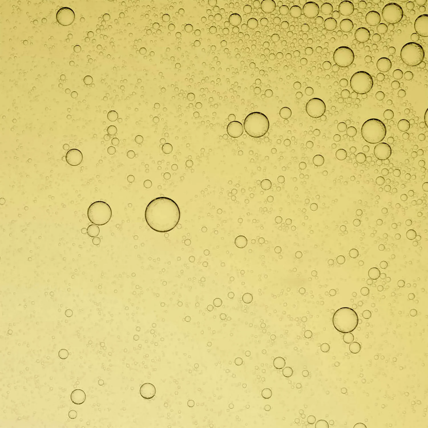 Bouclème Revive 5 Hair Oil 4 Bouclème Revive 5 Hair Oil - Image 2