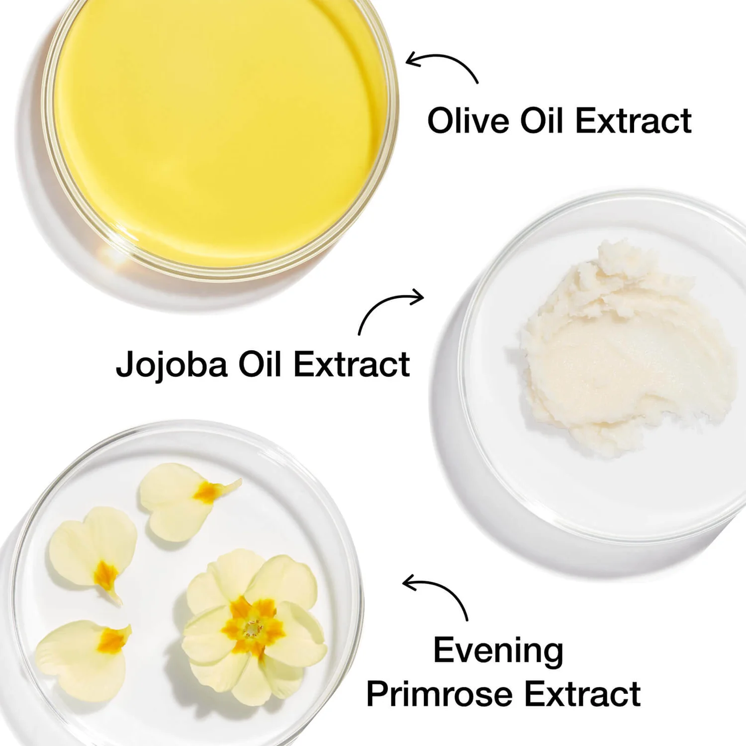 StriVectin Comforting Cream Cleanser 150ml 6 StriVectin Comforting Cream Cleanser 150ml - Image 4