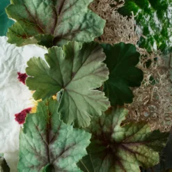 Molton Brown Geranium Nefertum Body Lotion 300ml 12 Molton Brown Geranium Nefertum Body Lotion 300ml -Cosmetic Products Store 12087669 1804664397218013