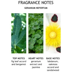 Molton Brown Geranium Nefertum Body Lotion 300ml 9 Molton Brown Geranium Nefertum Body Lotion 300ml -Cosmetic Products Store 12087669 1824664397088761