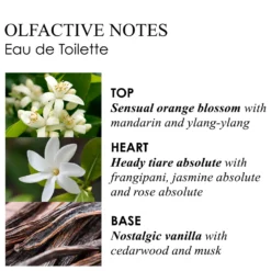 Molton Brown Flora Luminare Eau De Toilette - 100ml -Cosmetic Products Store 12243583 1944775915812191