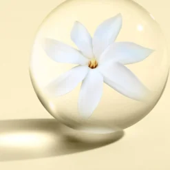 Molton Brown Flora Luminare Eau De Toilette - 100ml -Cosmetic Products Store 12243583 1984701477228480