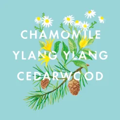 NEOM Bedtime Hero Essential Oil Blend -Cosmetic Products Store 12455616 7744824853554393