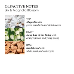 Molton Brown Lily & Magnolia Blossom Eau De Toilette 100ml -Cosmetic Products Store 12751099 2344833223665237