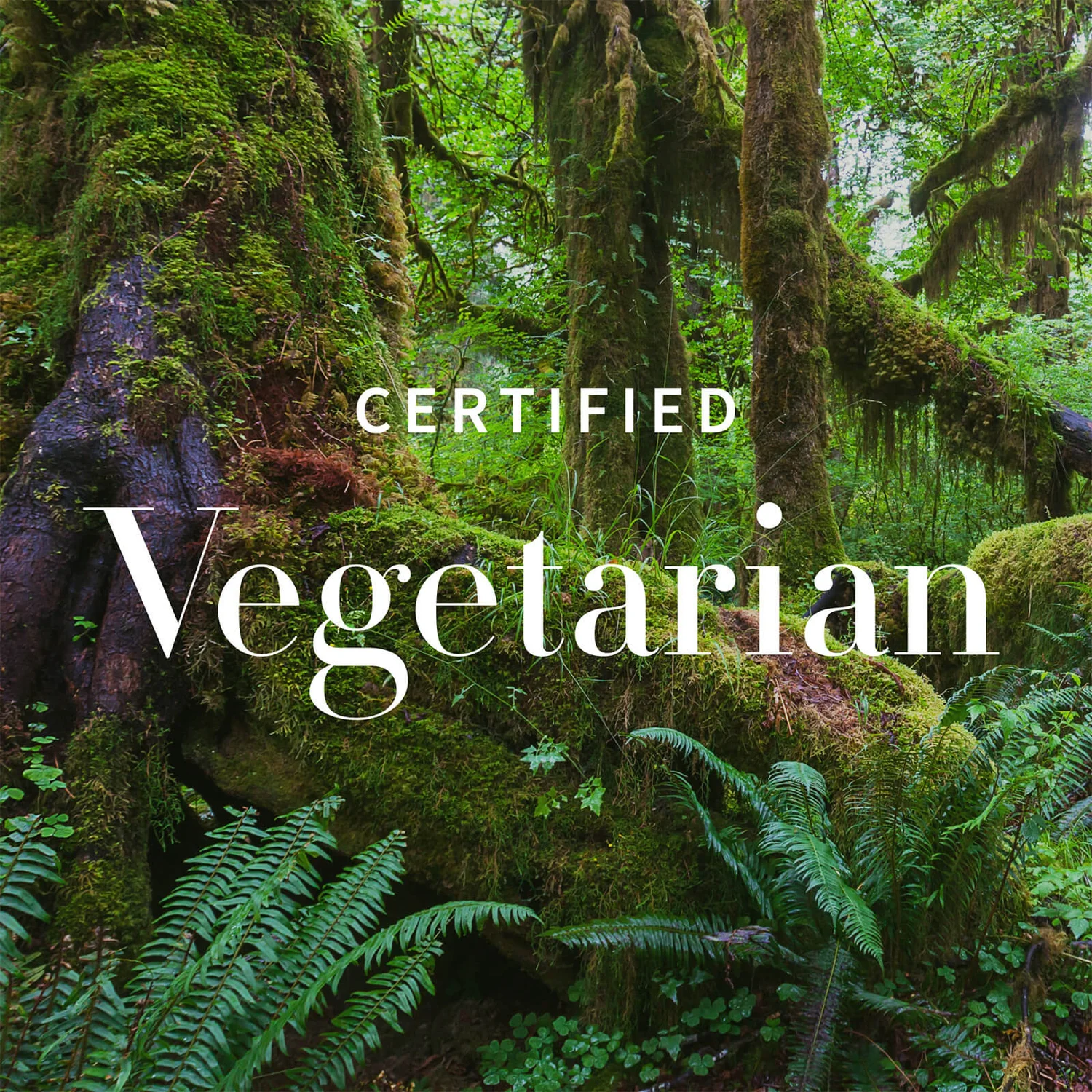 Αντίποδες Antipodes Healthier Skin Heroes (Worth £61.00) 6 Αντίποδες Antipodes Healthier Skin Heroes (Worth £61.00) - Image 4